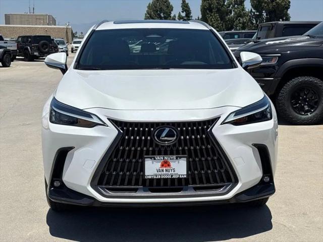 2024 Lexus NX 250