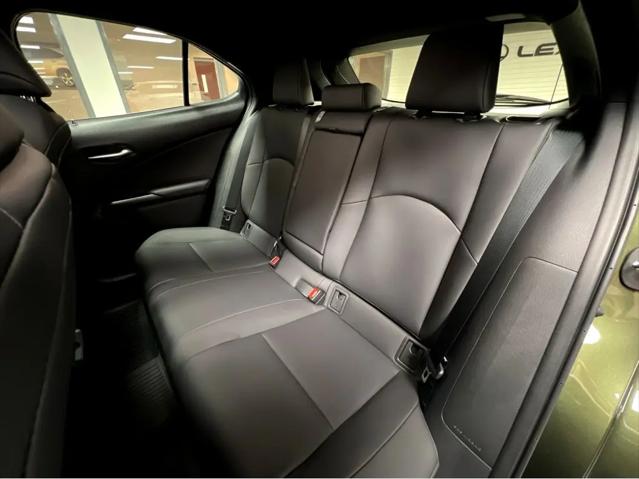 2024 Lexus UX 250h Premium
