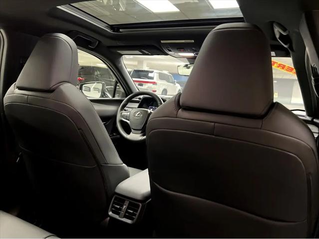 2024 Lexus UX 250h Premium