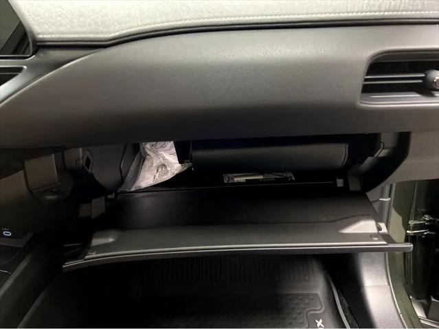2024 Lexus UX 250h Premium