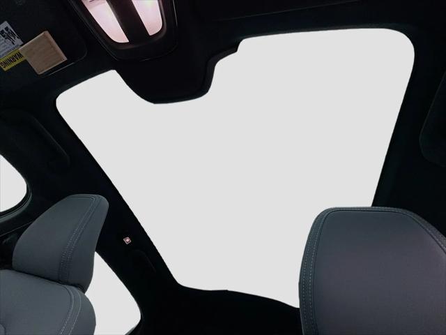 2021 Polestar 2 Launch Edition