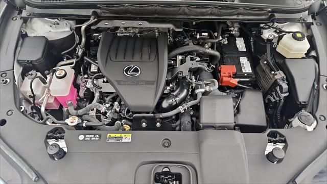 2023 Lexus RX 350 Luxury
