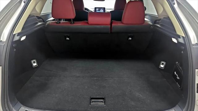 2018 Lexus NX 300 NX 300