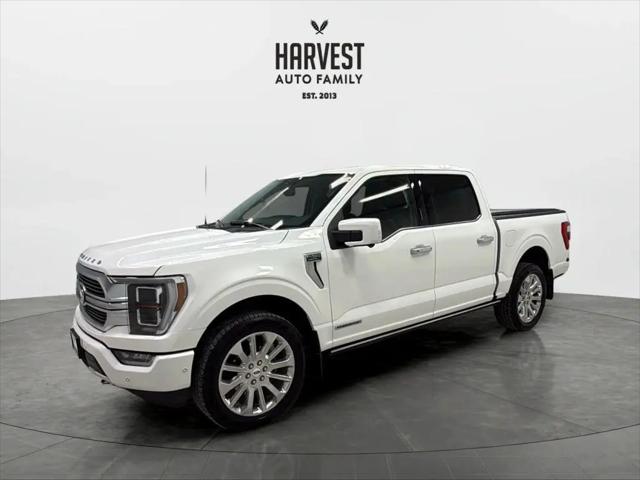2023 Ford F-150 Limited for sale in Wahoo, NE