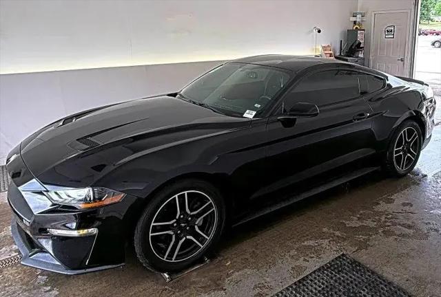 2019 Ford Mustang EcoBoost for sale near Nelsonville, OH