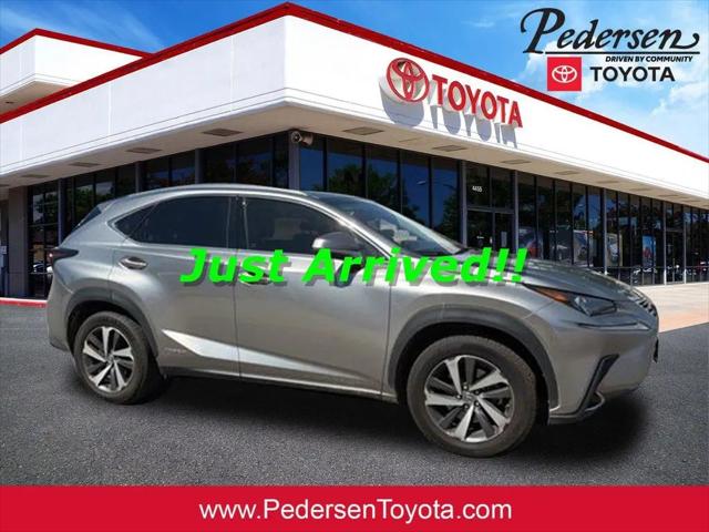 2019 Lexus NX 300h Base for sale in Fort Collins, CO
