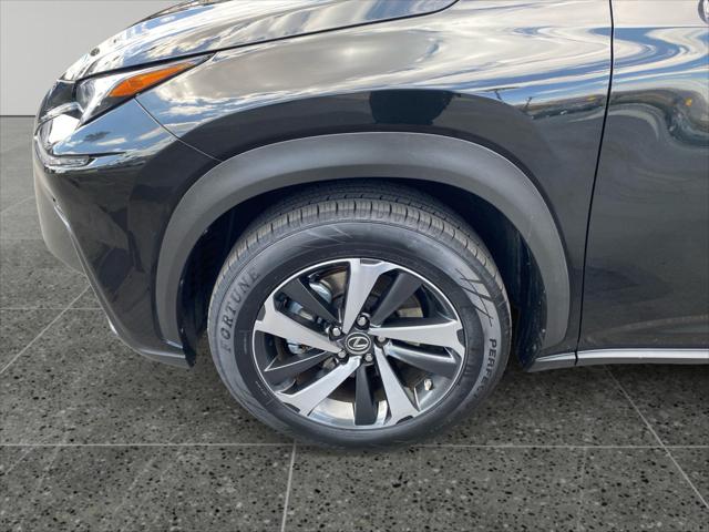 2020 Lexus NX 300 NX 300