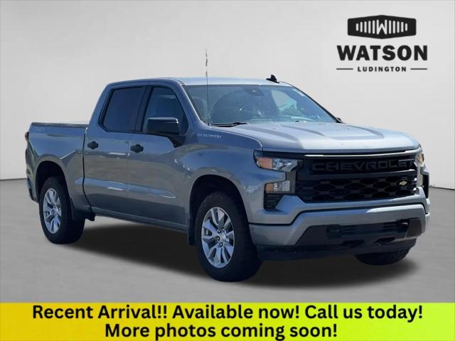 2023 Chevrolet Silverado 1500 4WD Crew Cab Short Bed Custom for sale in Ludington, MI