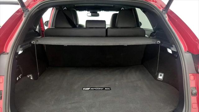 2019 Lexus NX 300 F SPORT