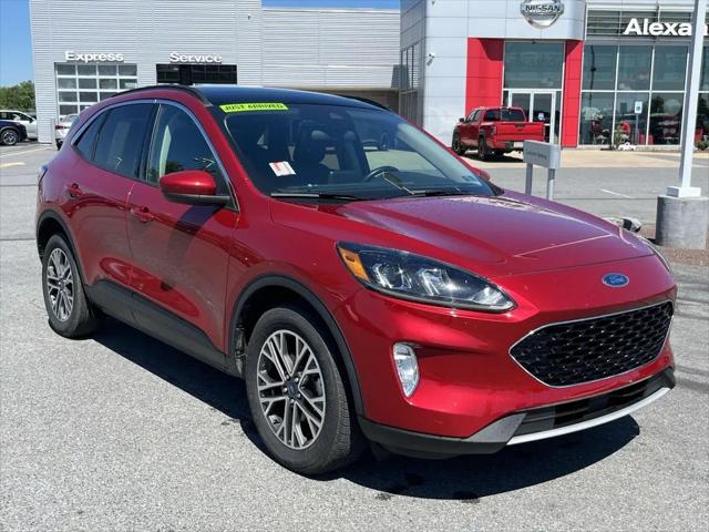 2020 Ford Escape SEL for sale in Muncy, PA