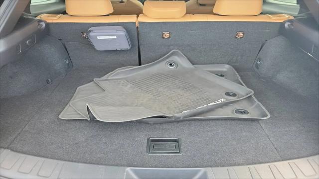 2023 Lexus UX 250h Premium
