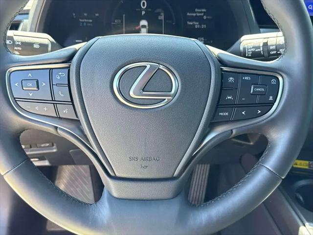 2025 Lexus 300 Premium