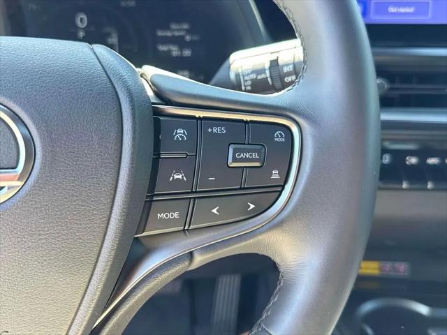 2025 Lexus 300 Premium
