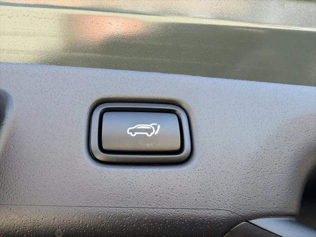 2025 Kia Niro EV Wind