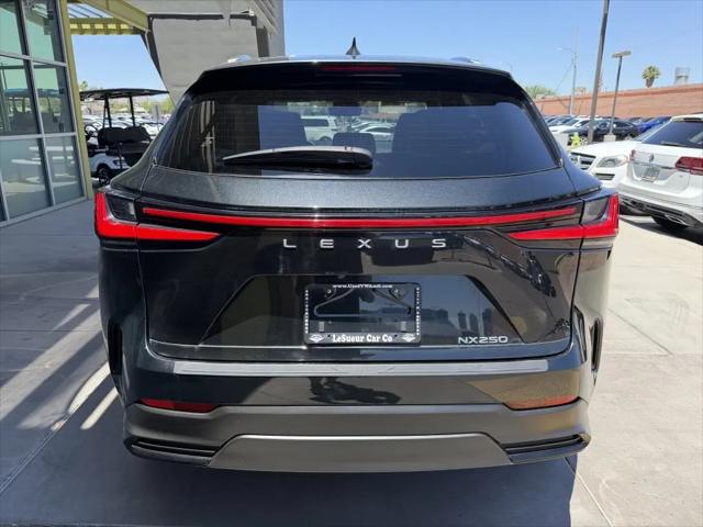 2024 Lexus NX NX 250