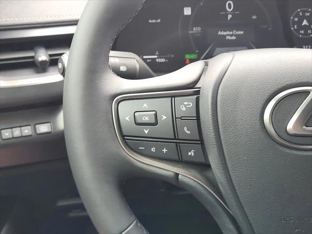 2025 Lexus 300 Premium
