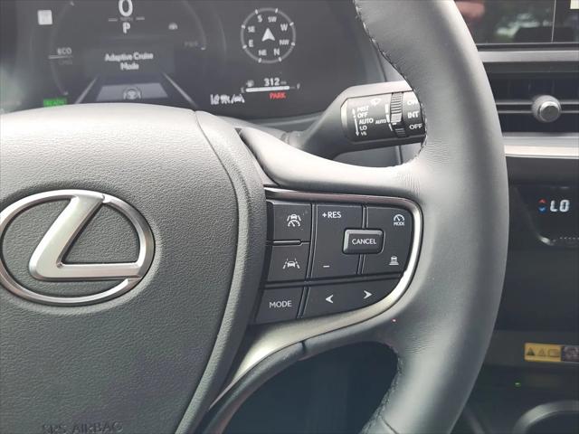 2025 Lexus 300 Premium