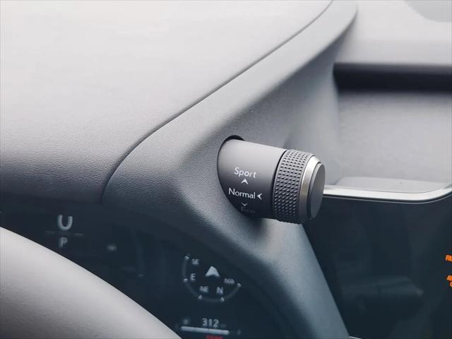 2025 Lexus 300 Premium