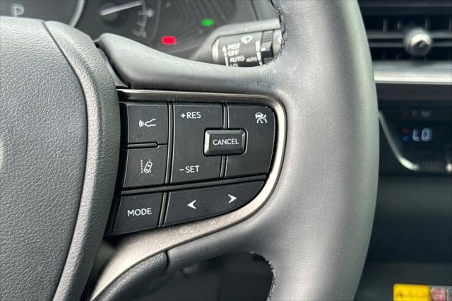2024 Lexus UX 250h Premium