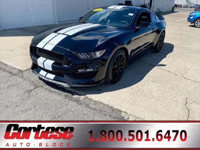 2019 Ford Mustang Shelby GT350 Fastback for sale in Rochester, NY