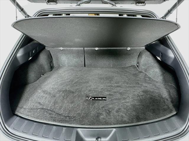 2025 Lexus 300 Premium