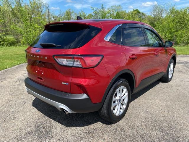 2020 Ford Escape SE 2020 Ford Escape SE