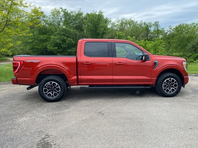 2023 Ford F-150 XLT 2023 Ford F-150 XLT