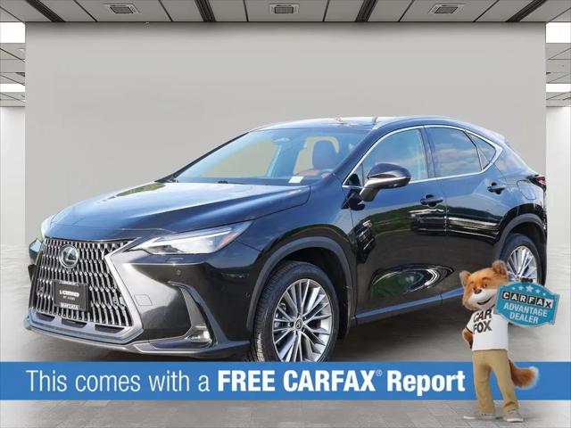 2024 Lexus NX 350h Luxury