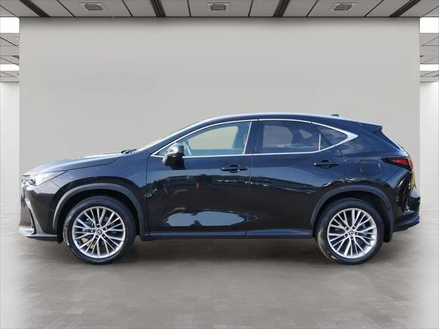 2024 Lexus NX 350h Luxury