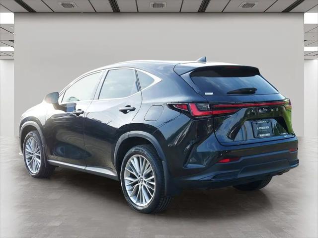 2024 Lexus NX 350h Luxury