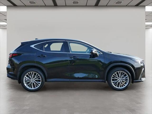 2024 Lexus NX 350h Luxury