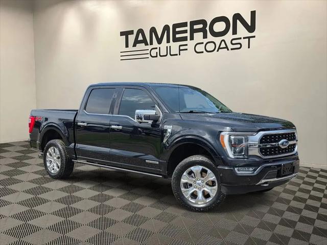 2021 Ford F-150 Platinum for sale in Mobile, AL