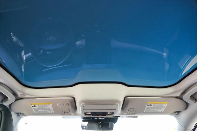 2022 Ford Mustang Mach-E California Route 1
