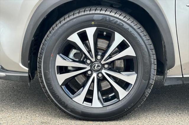 2019 Lexus NX 300 F SPORT