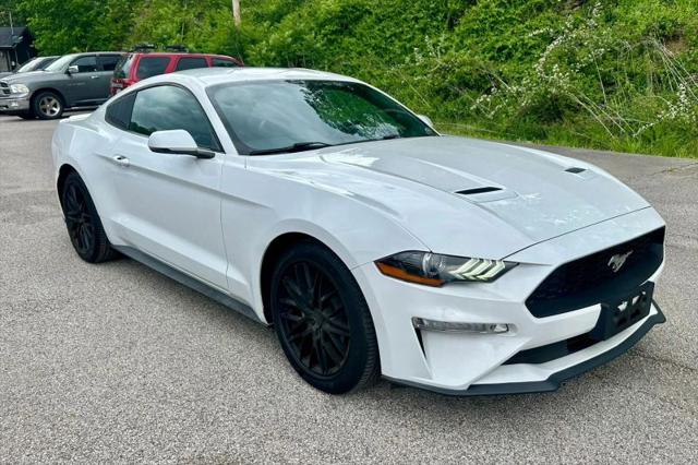2018 Ford Mustang EcoBoost for sale in Grayson, KY