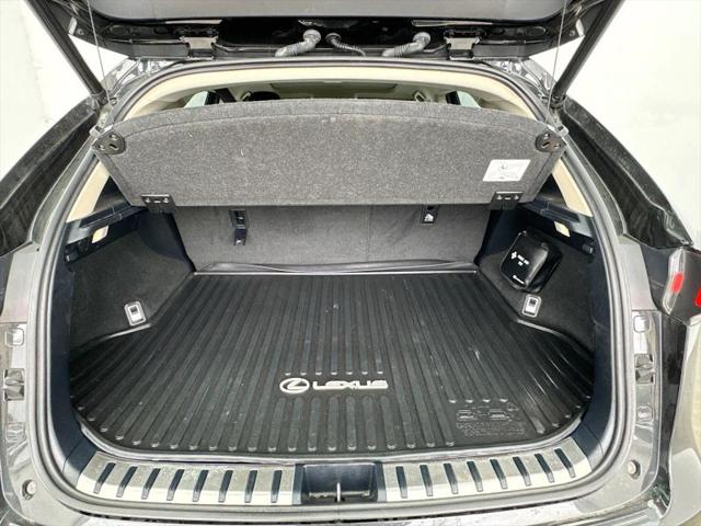 2020 Lexus NX 300h 300h