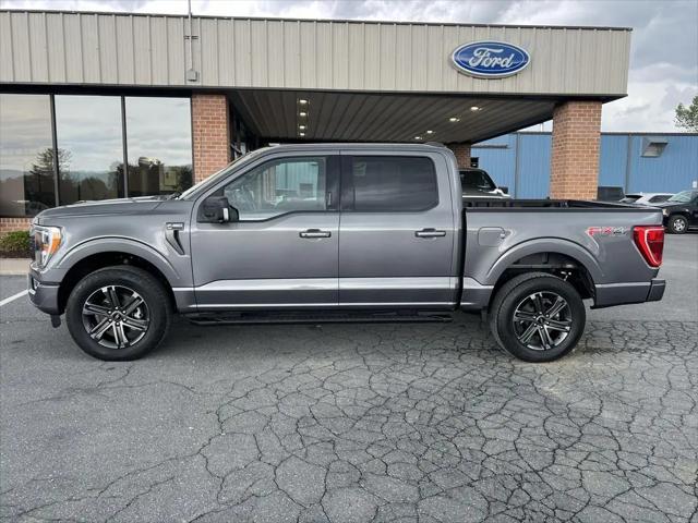 2023 Ford F-150 XLT for sale in Elkton, VA