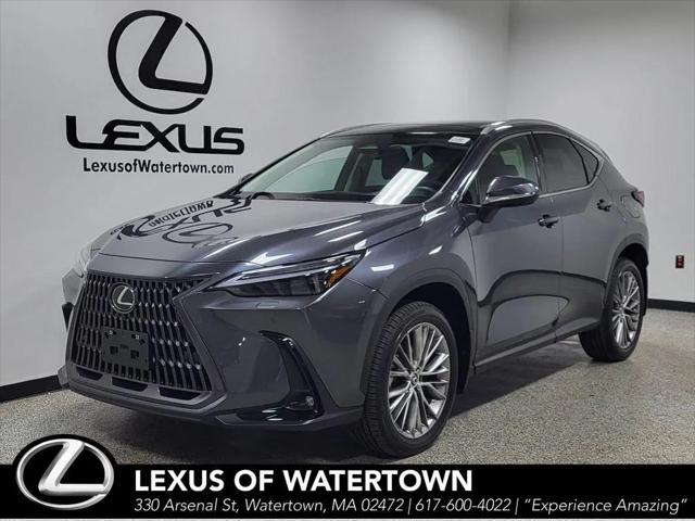 2024 Lexus NX 350 Luxury for sale in Watertown, MA