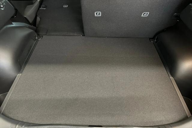 2026 Kia Niro EV Wind