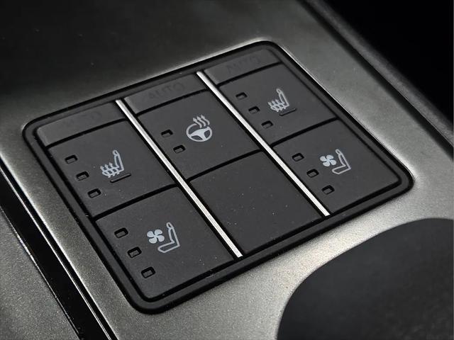 2026 Lexus 300 AWD