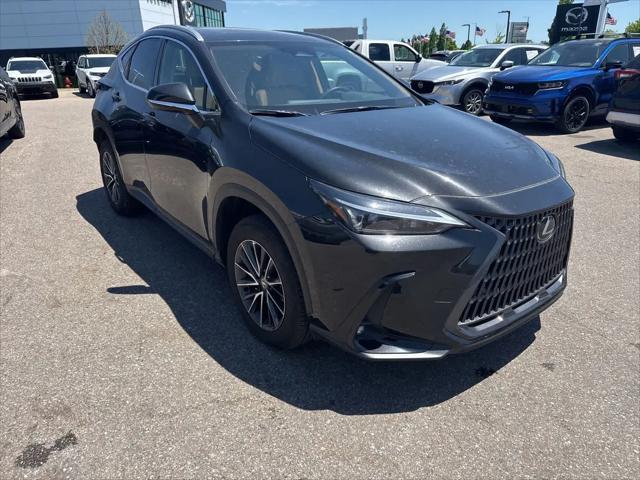 2025 Lexus NX 350 NX 350