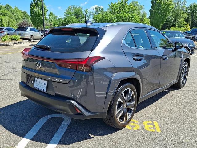 2024 Lexus UX 250h Premium