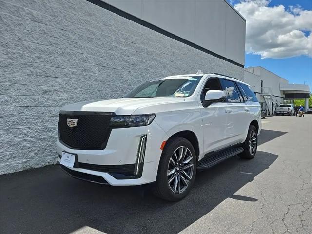 2023 Cadillac Escalade 4WD Sport for sale in Orchard Park, NY