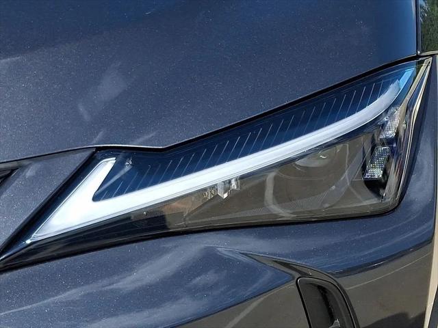2025 Lexus 300 Premium