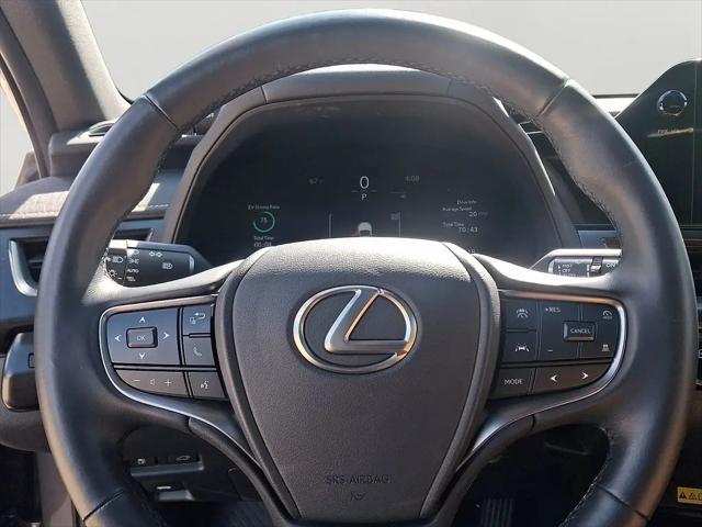 2025 Lexus 300 Premium