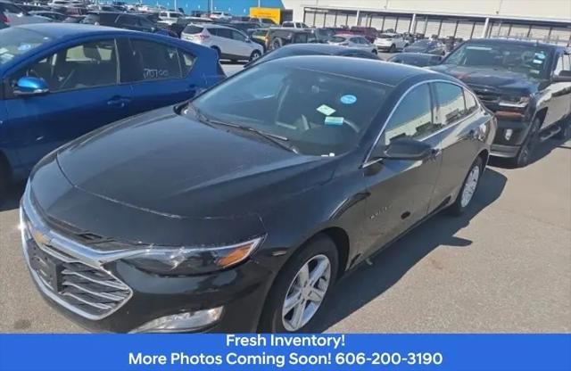 2024 Chevrolet Malibu FWD 1LT for sale in Ivel, KY
