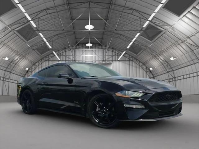 2019 Ford Mustang EcoBoost for sale in Orlando, FL