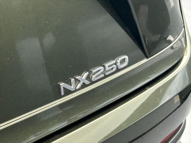 2025 Lexus NX 250 Base