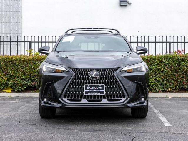 2025 Lexus NX 250