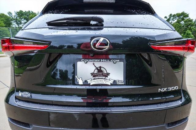 2019 Lexus NX 300 300